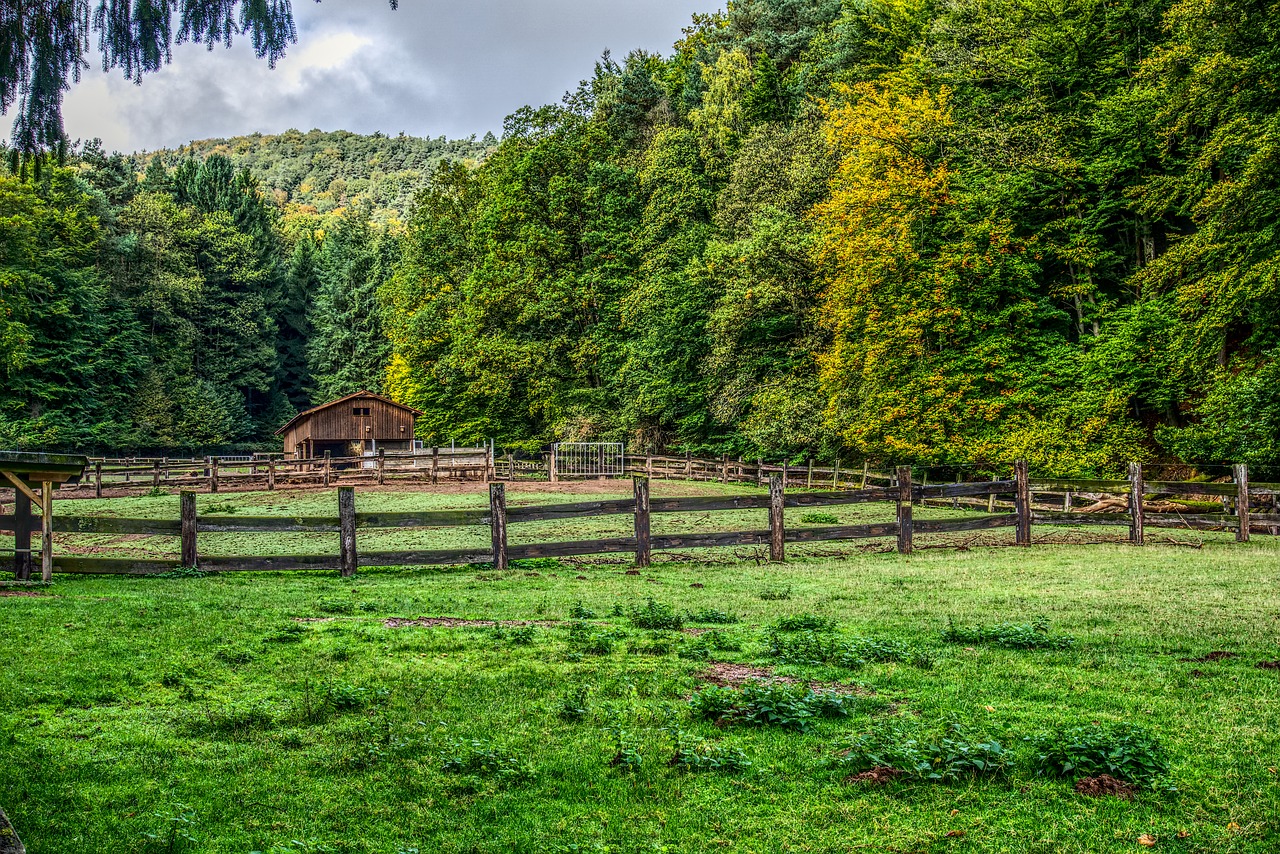 Image - pasture cattle fence fence