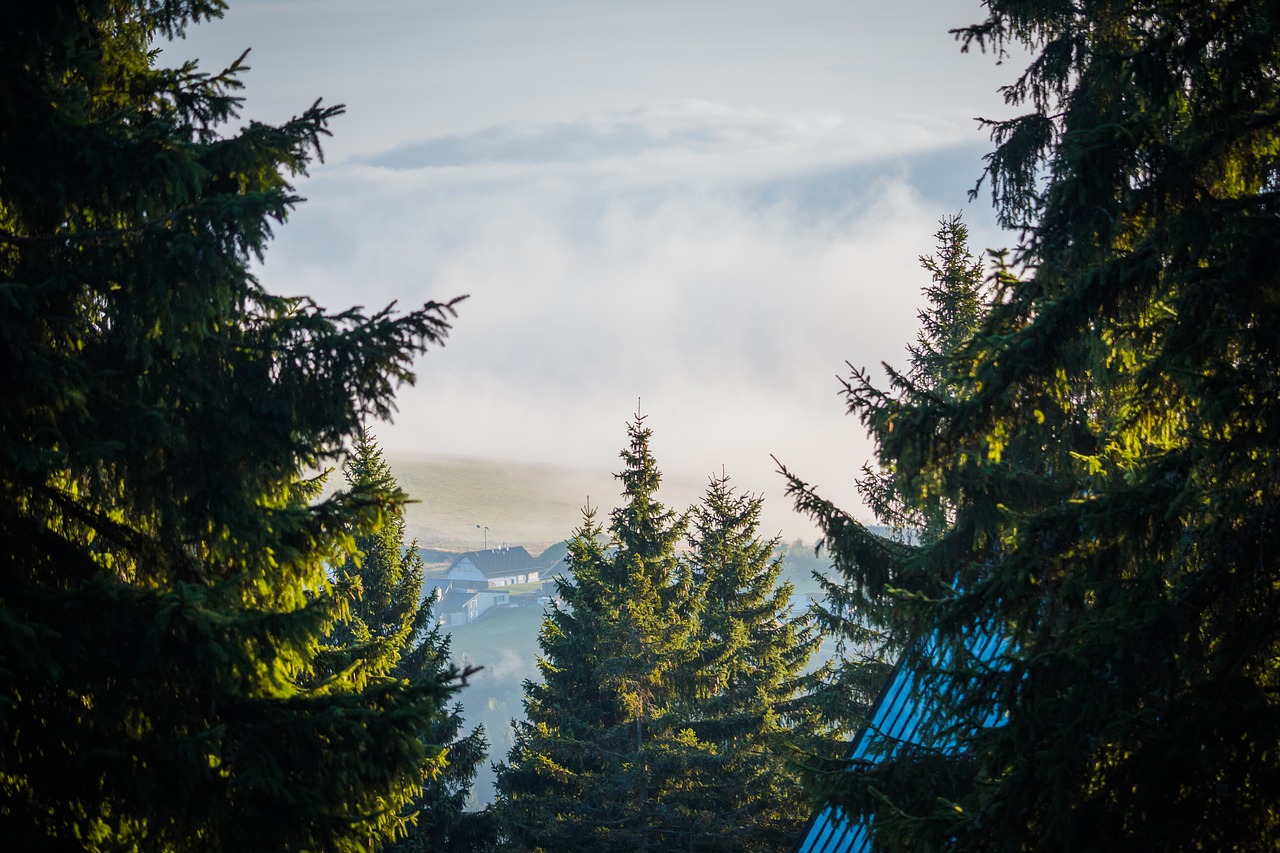 Image - fog clouds trees valley landscape
