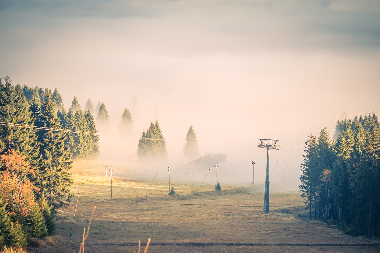 Image - fog clouds trees cableway light