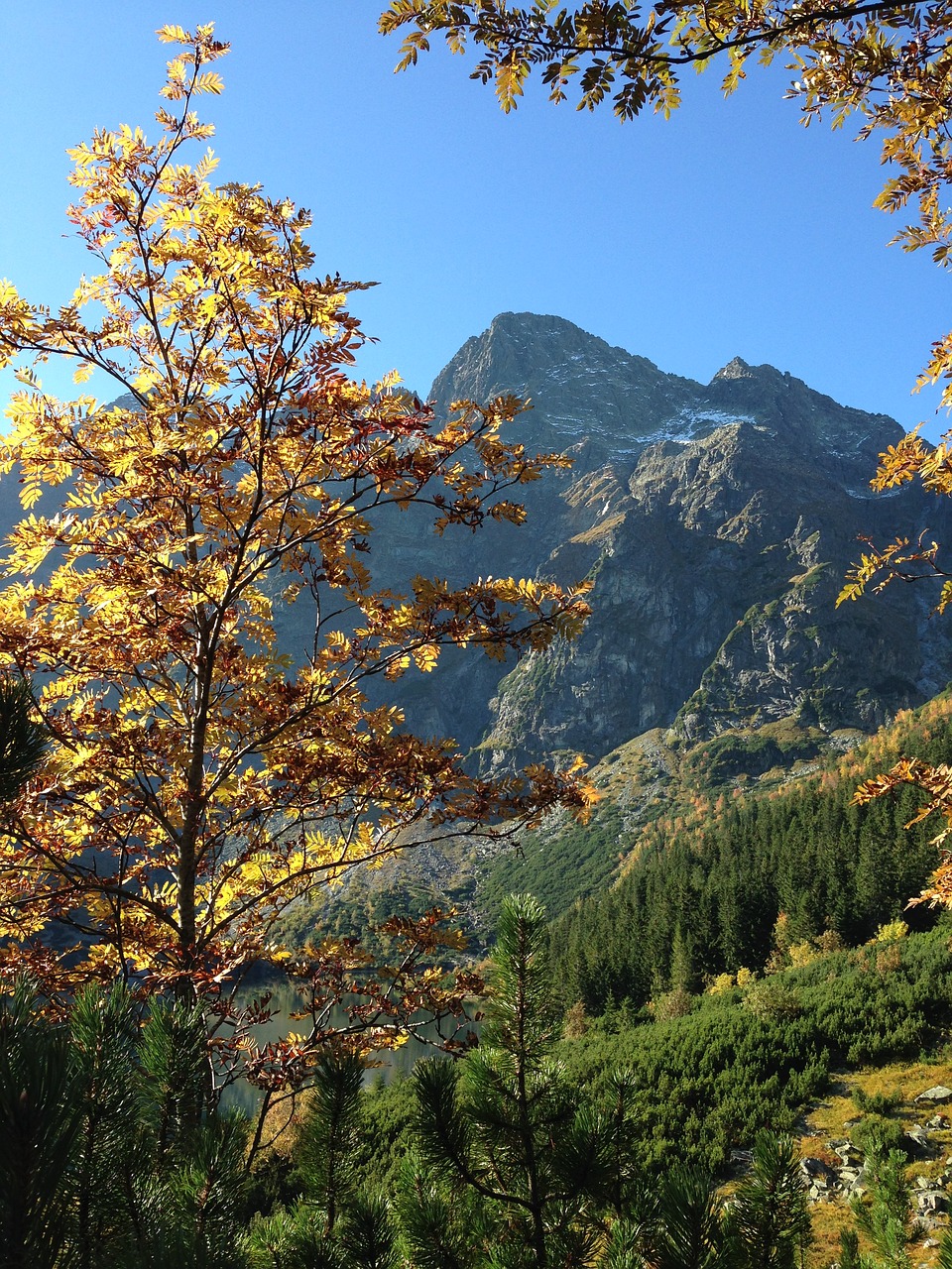 Image - mountains tatry autumn