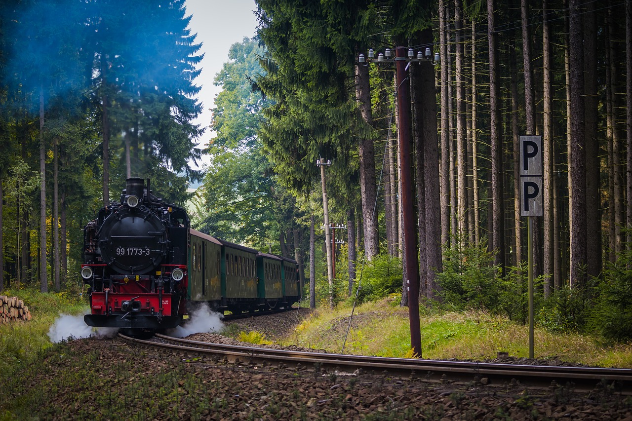 Image - locomotive train machine forest