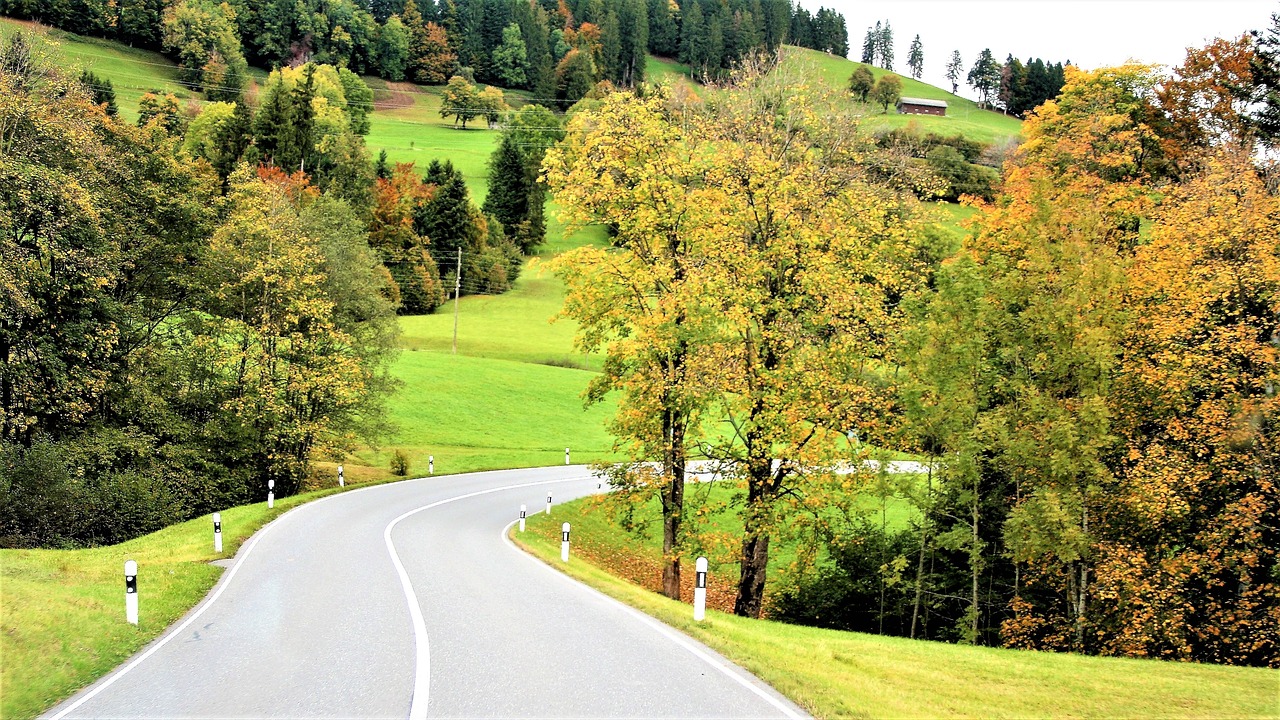 Image - highway way autumn gold landscape