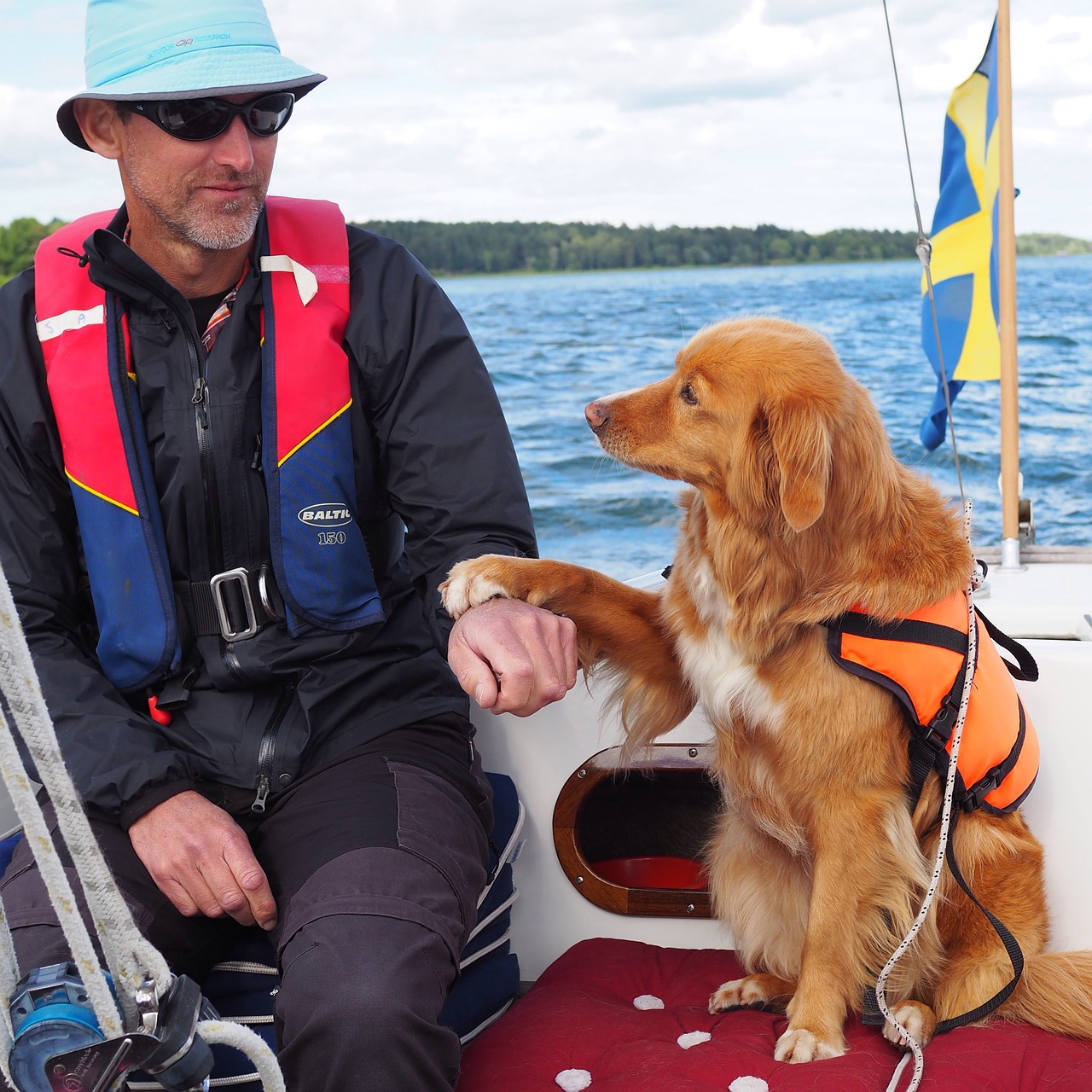 Image - lake sailing dog contact