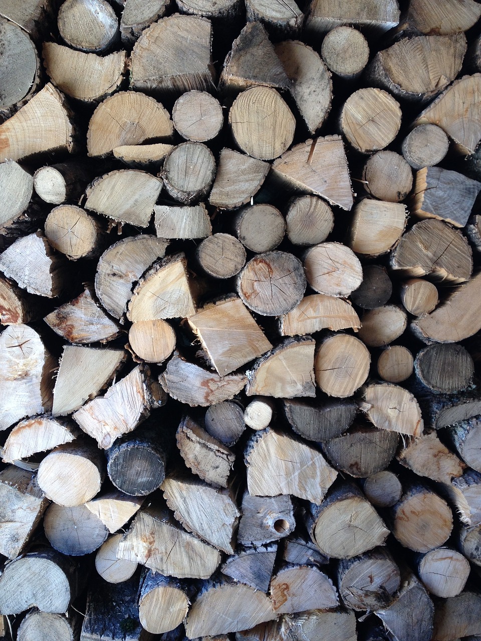 Image - wood firewood nature wooden tree