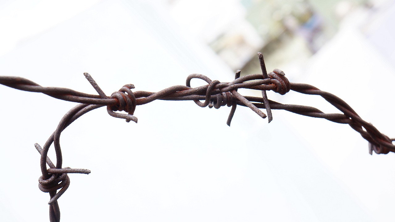 Image - barbed wire tubers rust