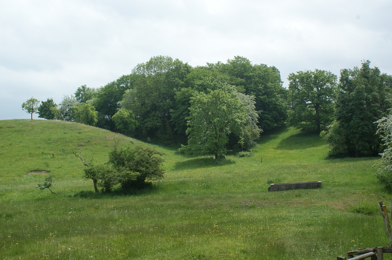 Image - recreational area pawn sche nature