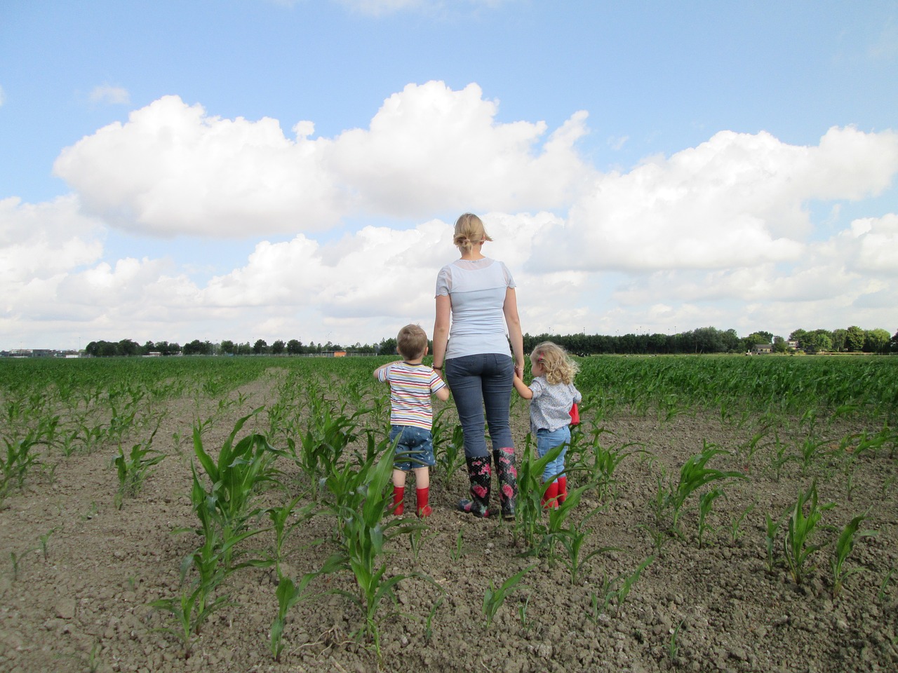 Image - field children agricultural corn