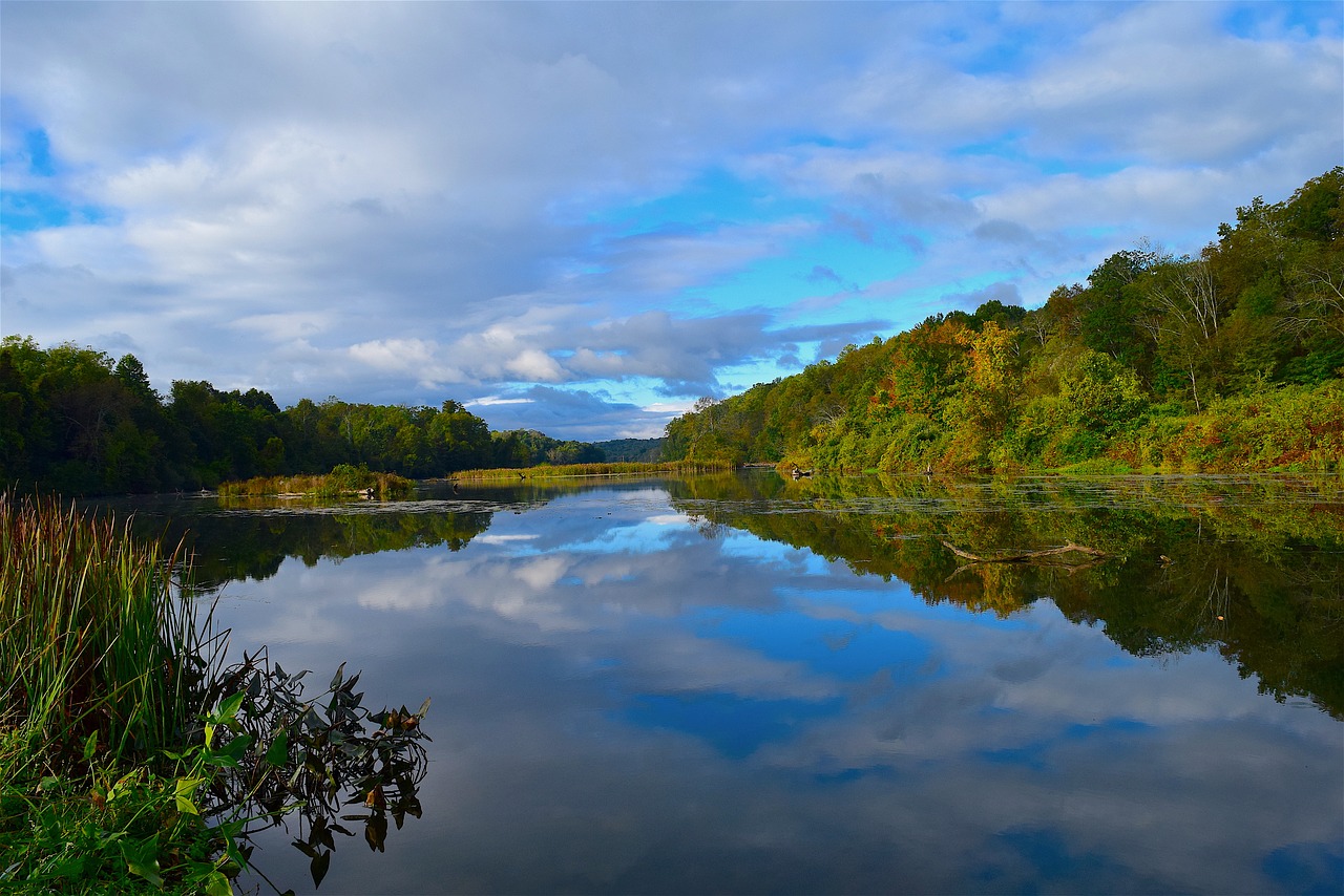 Image - lake morning nature trees foliage