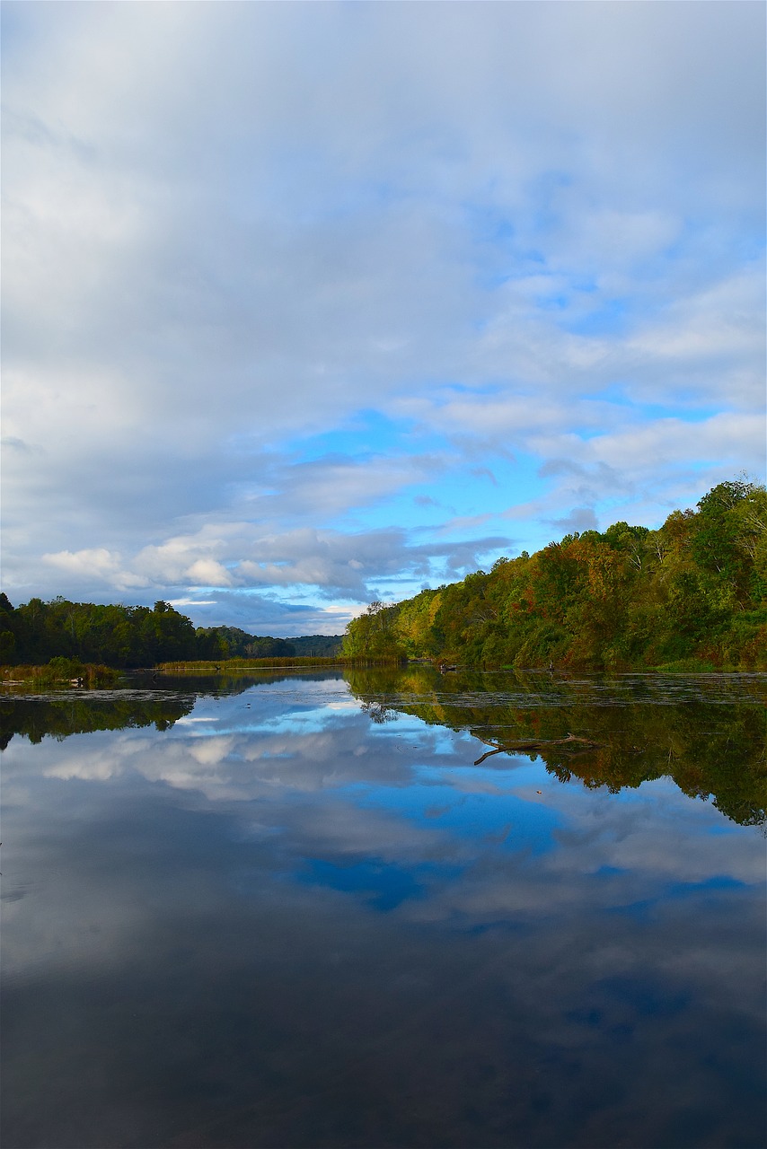 Image - lake morning nature trees foliage