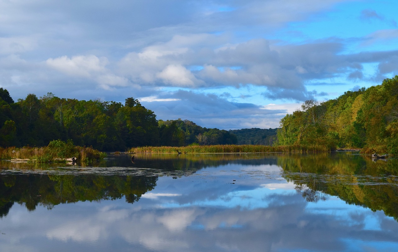 Image - lake morning nature trees foliage