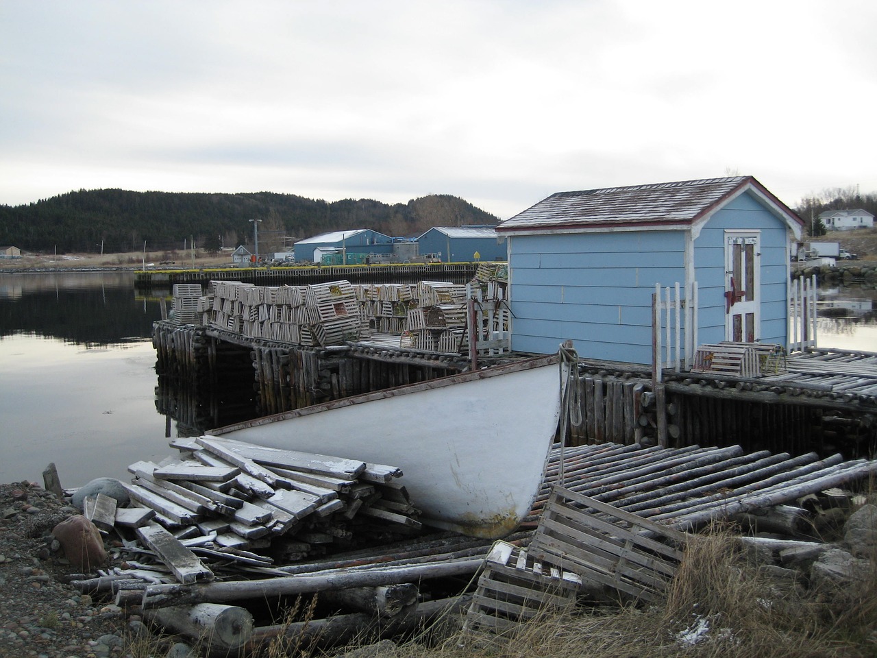 Image - newfoundland boat fishing atlantic