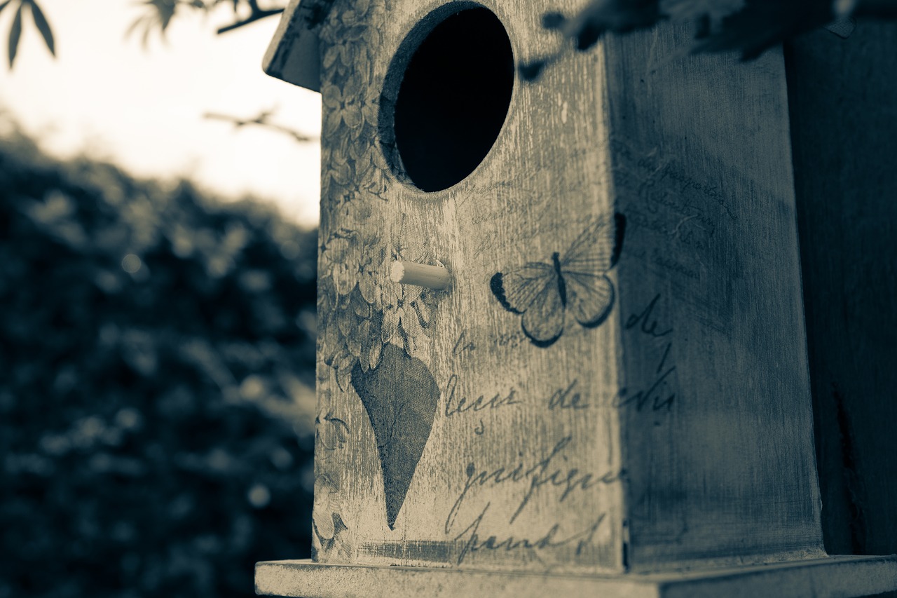 Image - birdhouse birds nest split tone