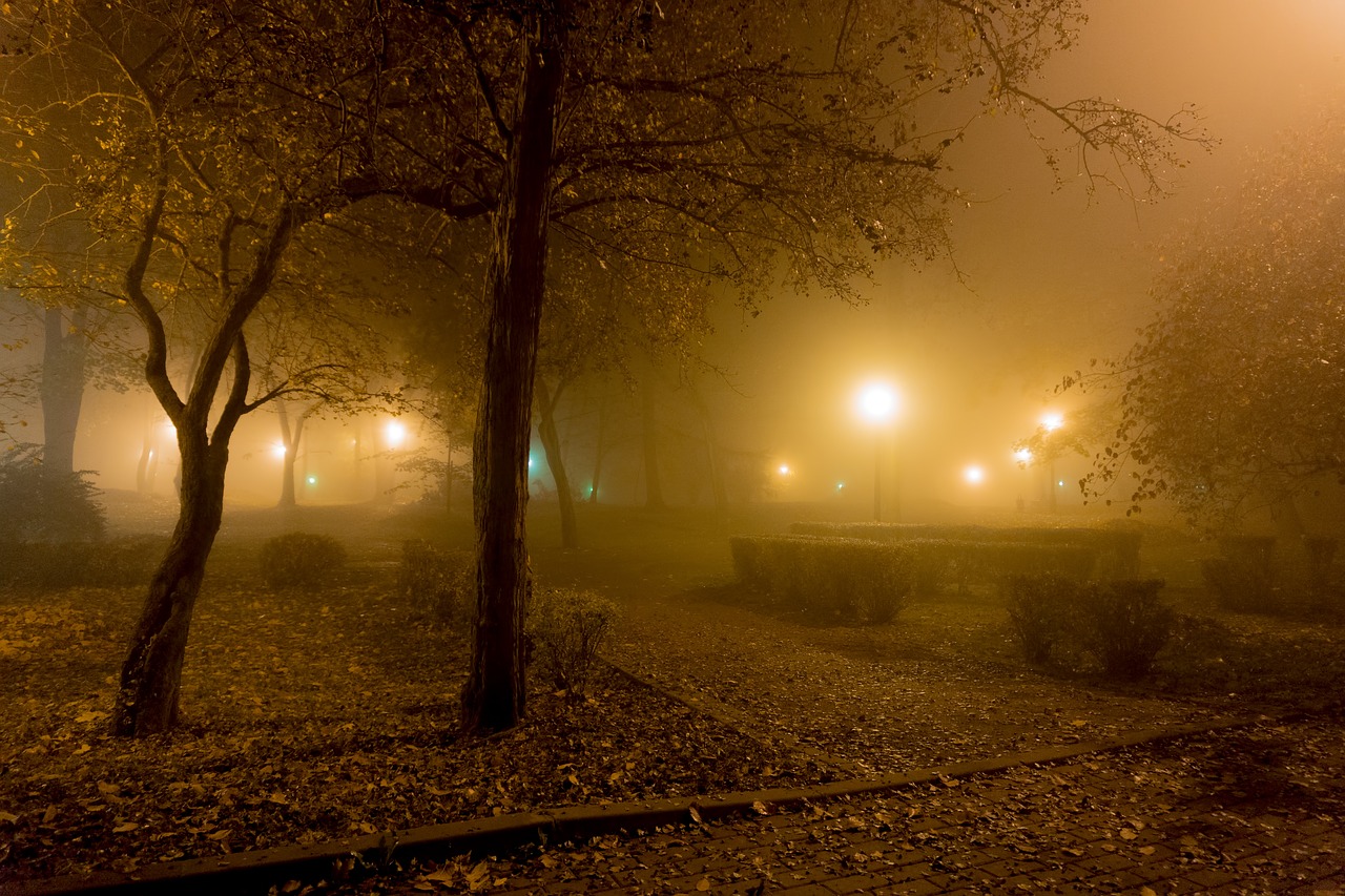 Image - the fog night light park alley