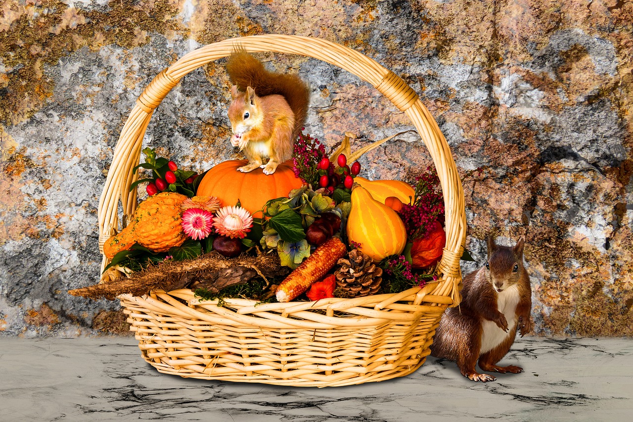 Image - time of year autumn autumn beginning