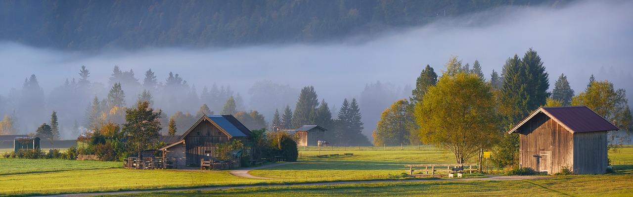 Image - nature landscape autumn