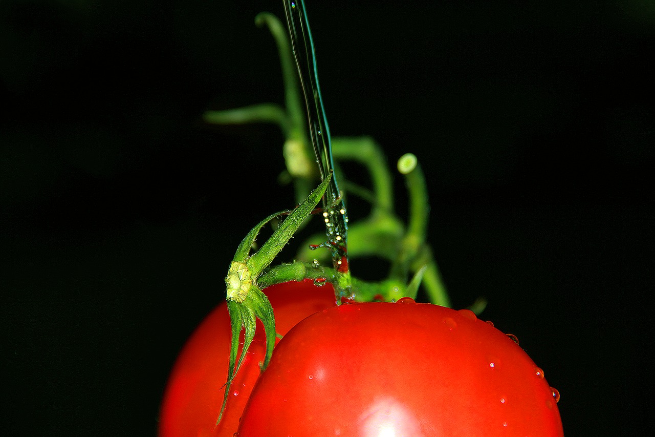 Image - nature red tomato testy water