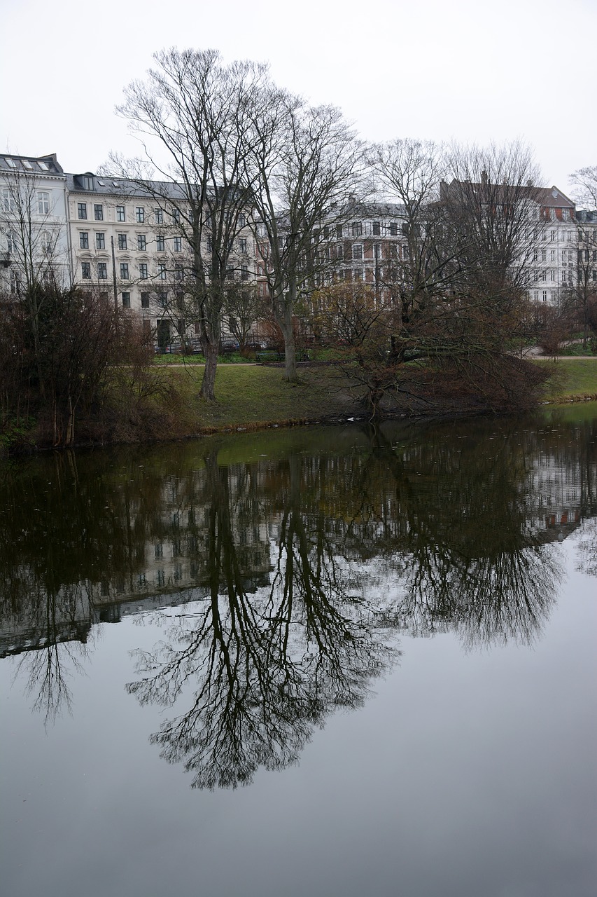 Image - park tree nature forest rain lake