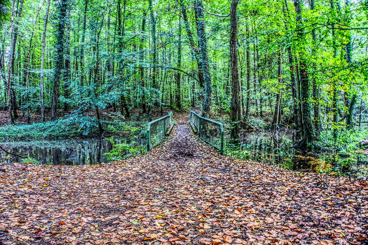 Image - bridge forest forest path metal