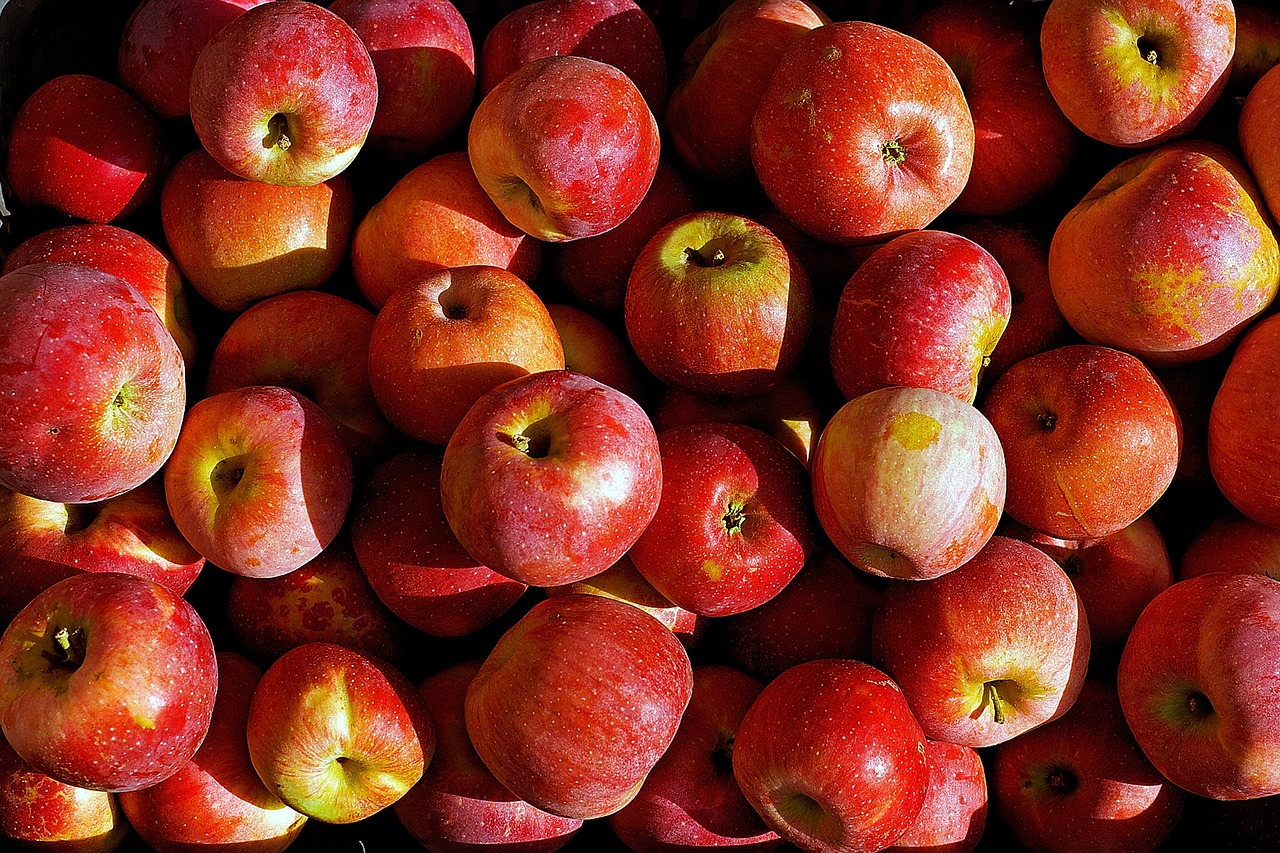 Image - apple health apples garden nature