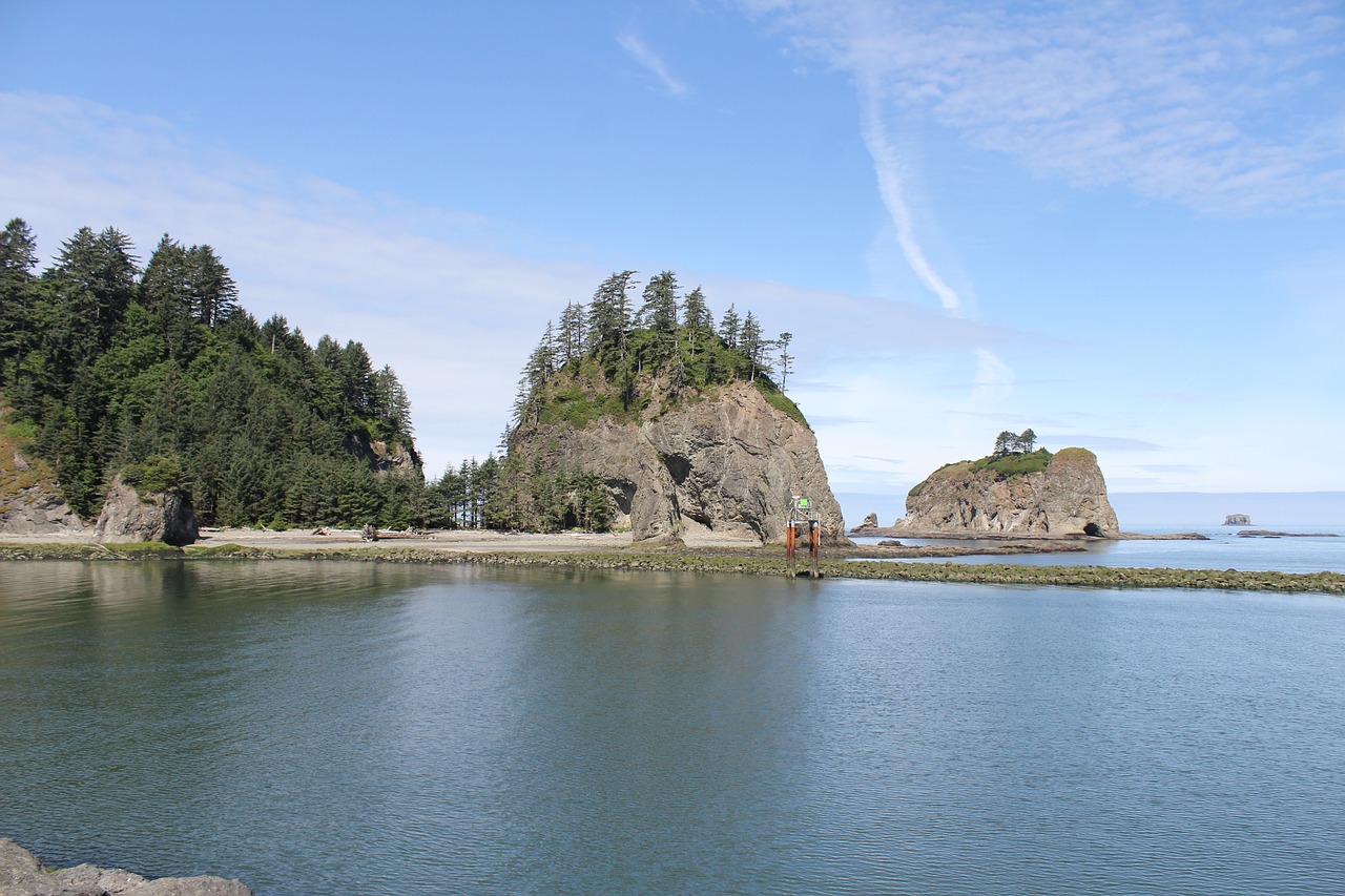 Image - beach nature mountain la push beach
