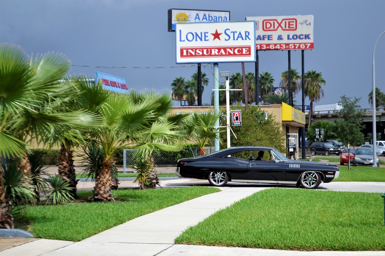 Image - classic car and palm trees ford