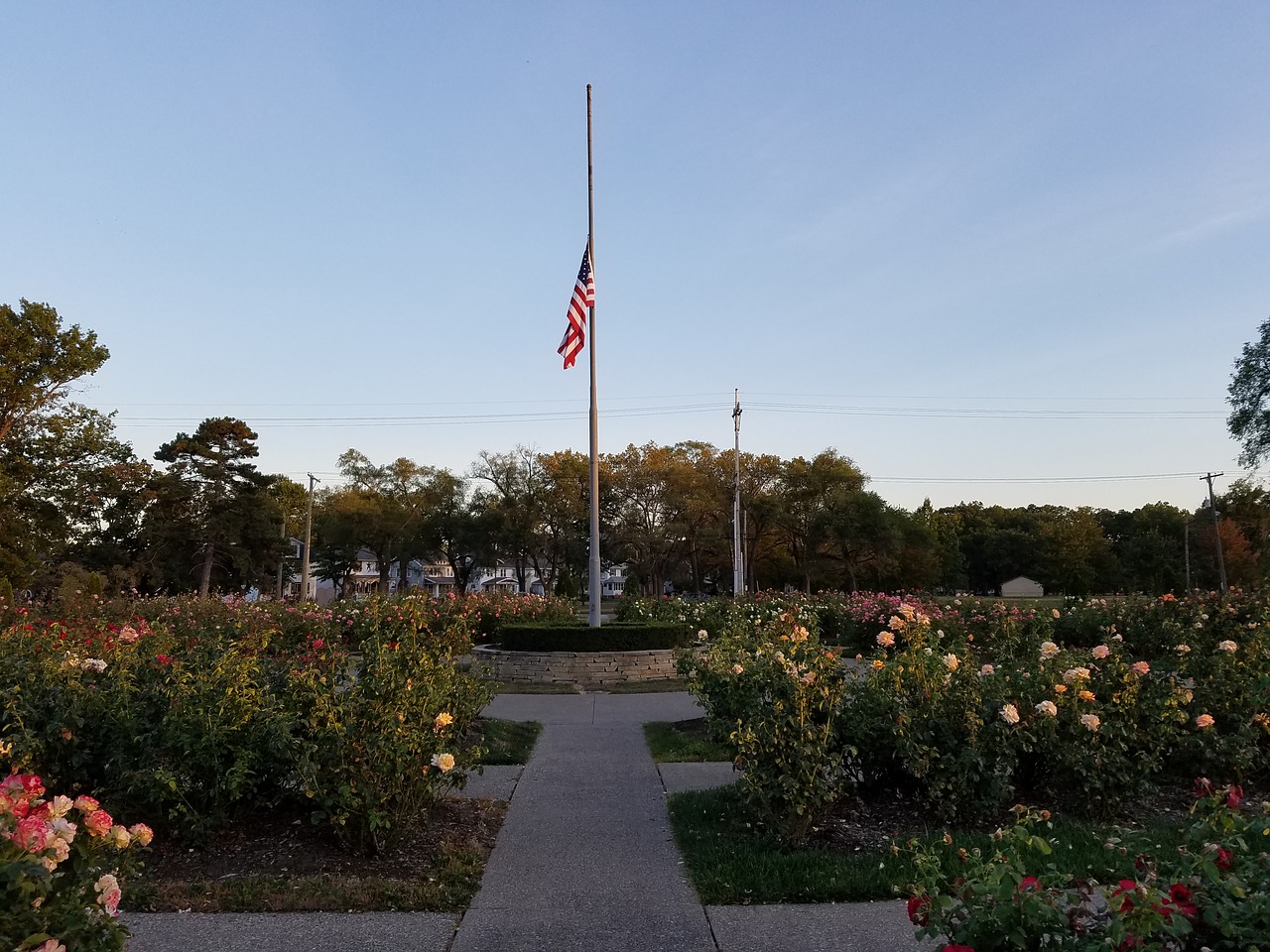 Image - american flag rose garden flag