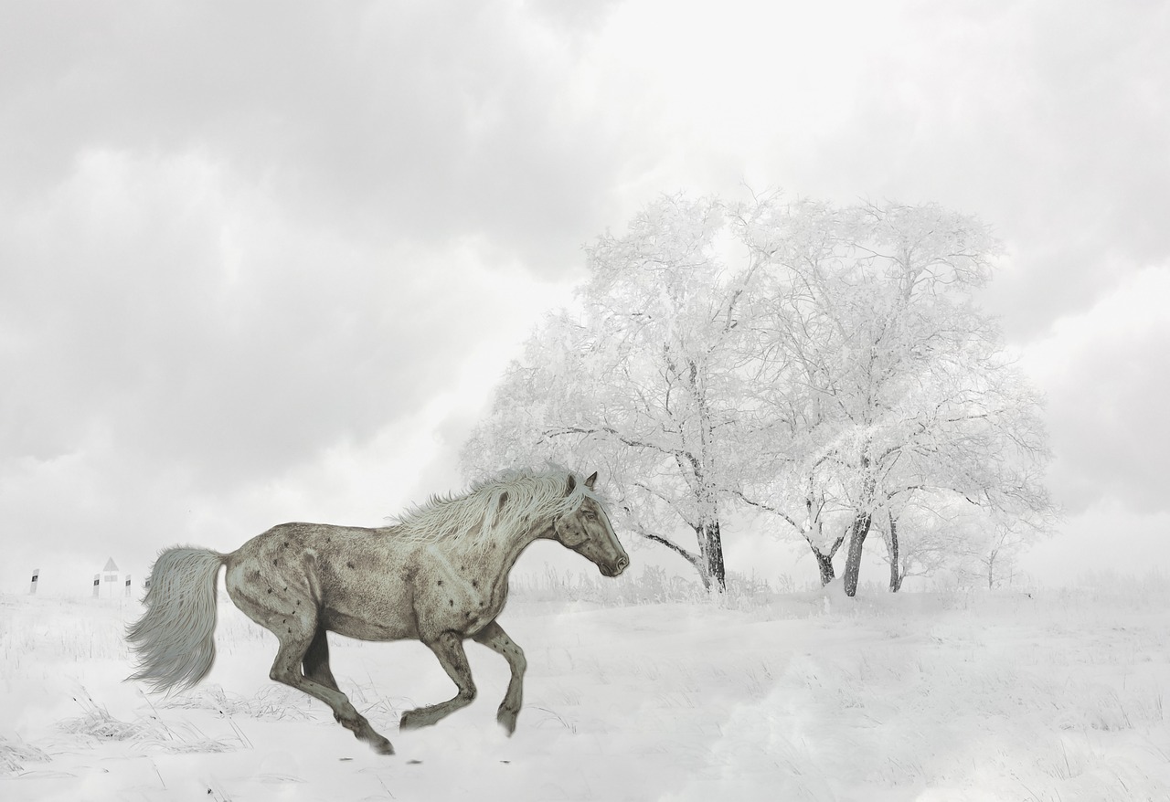 Image - horse winter galloping snow field