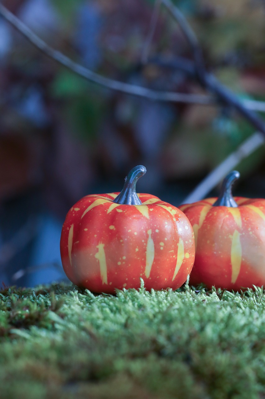 Image - pumkin decoration autumn halloween