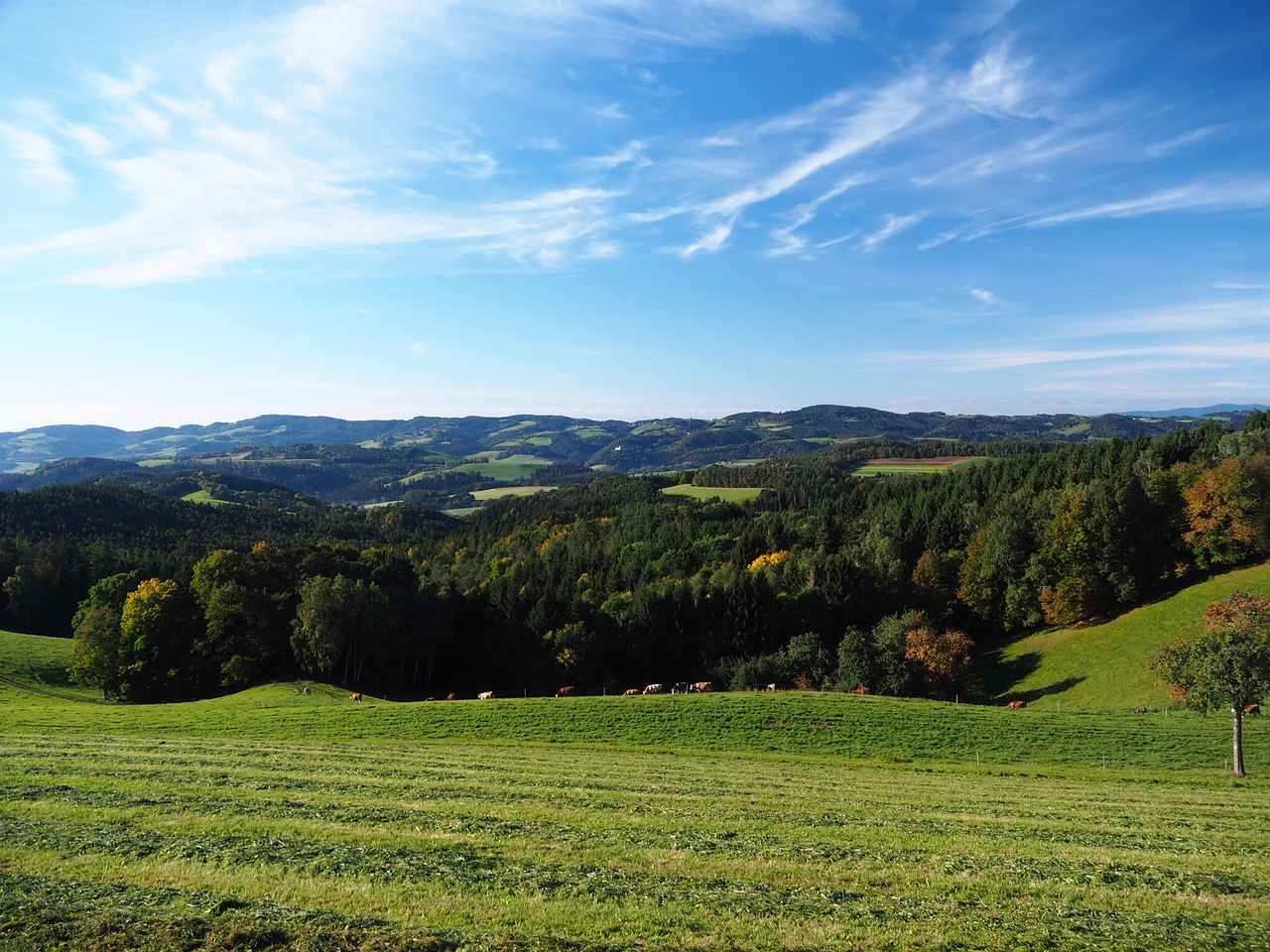 Image - nature meadow bucklige welt swing