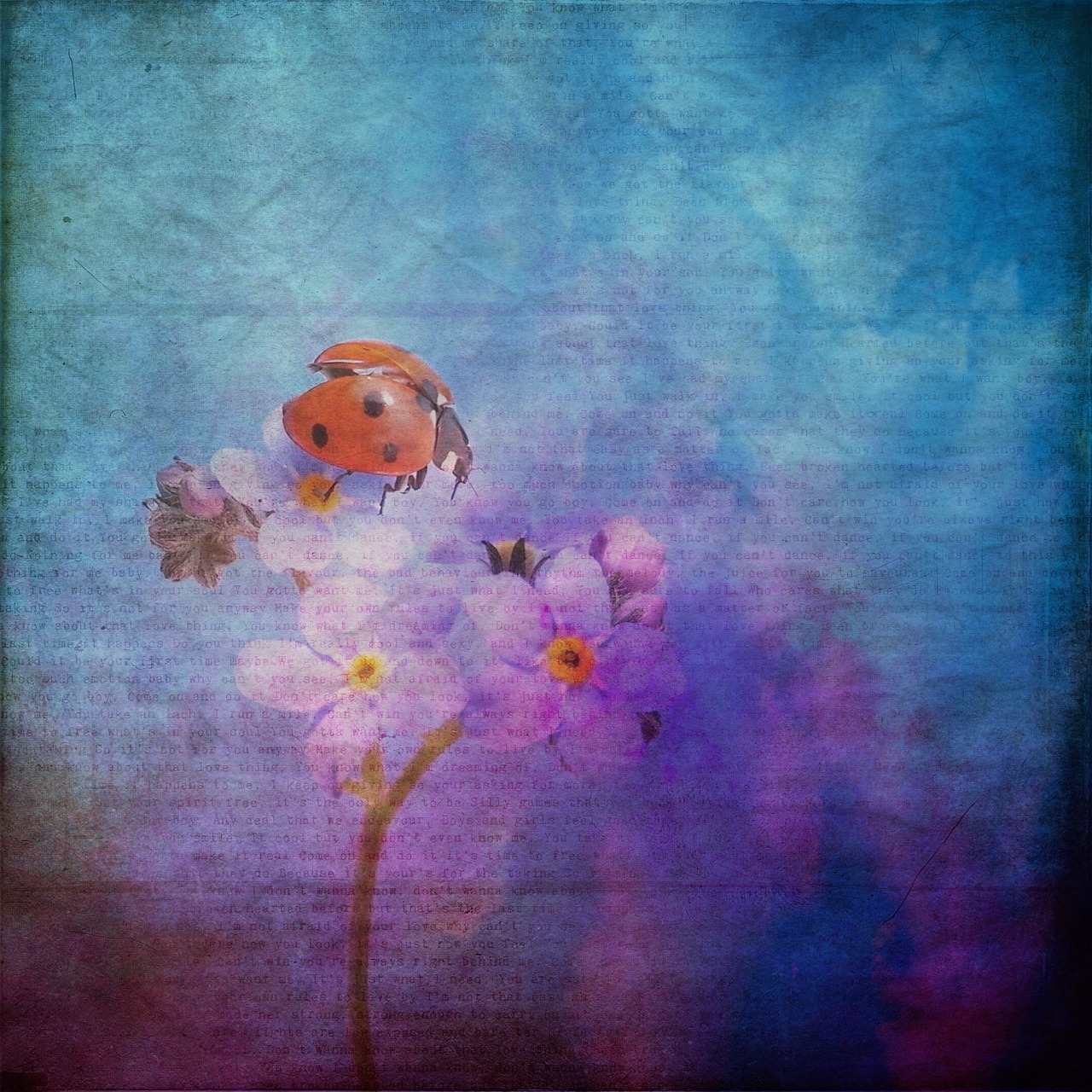 Image - texture background ladybug