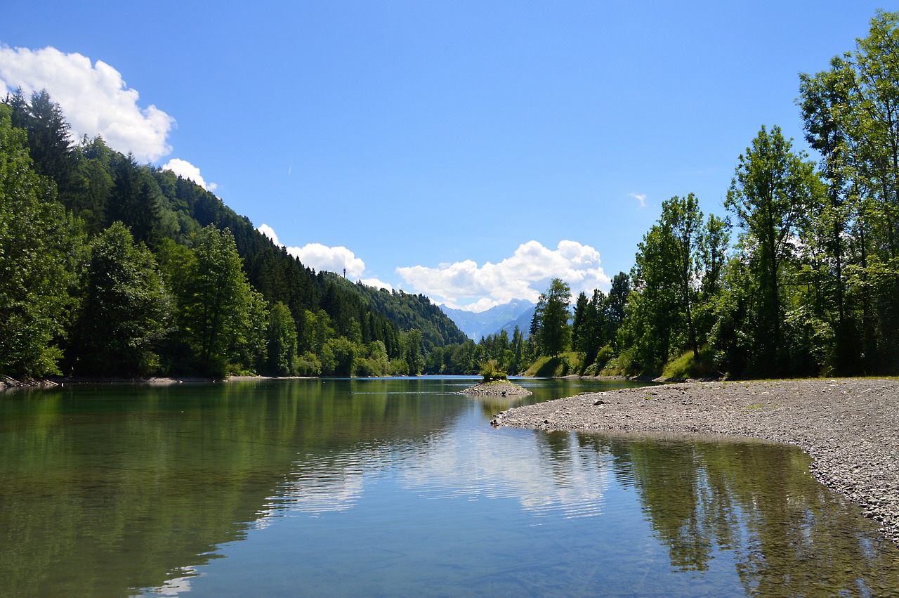 Image - auwaldsee forest lake pond