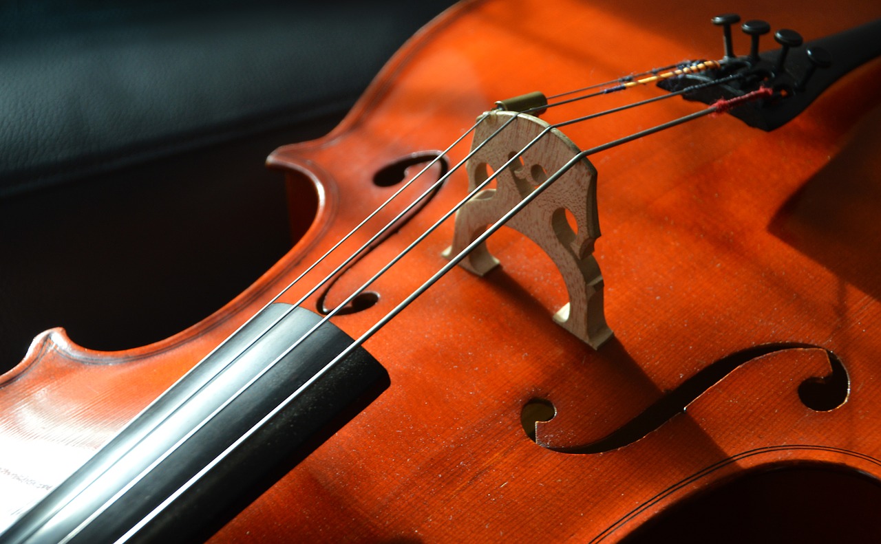 Image - cello strings stringed instrument