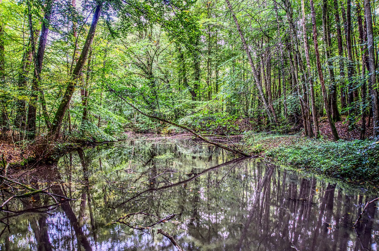 Image - water mirroring reflection lake