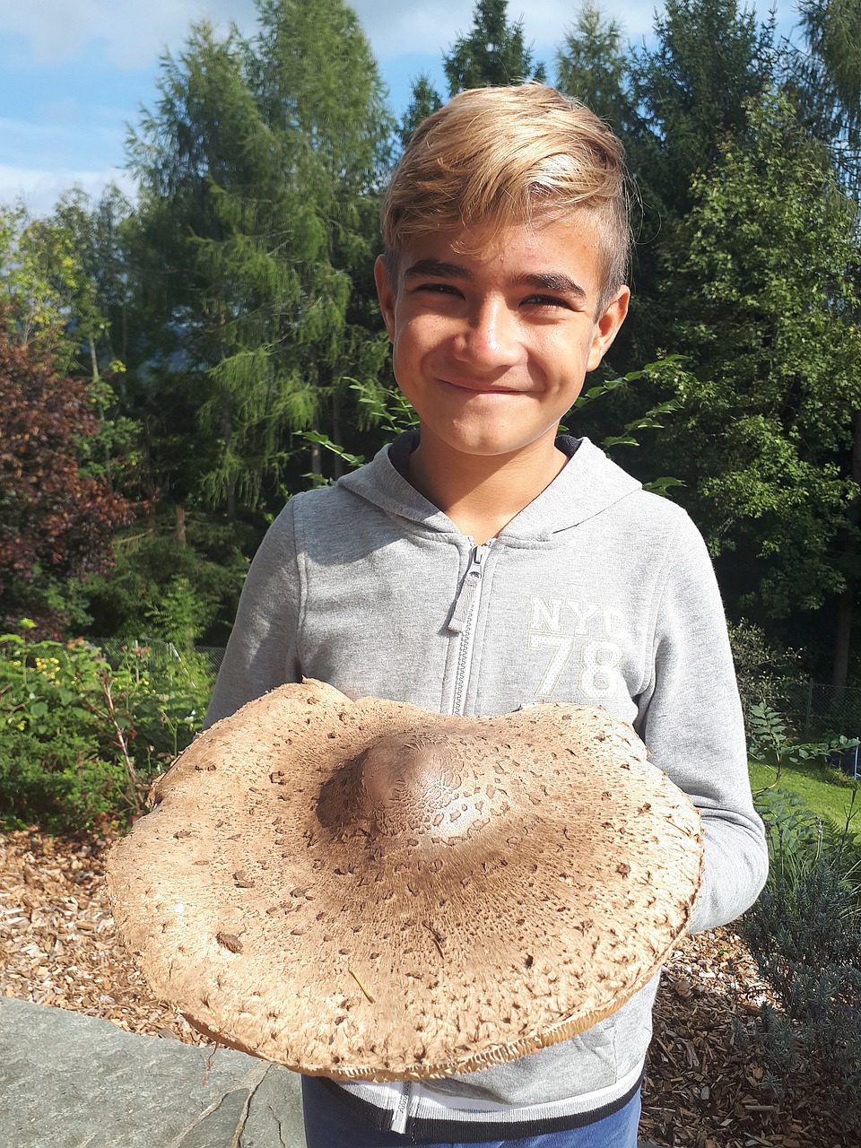 Image - boy mushroom parasol edible autumn