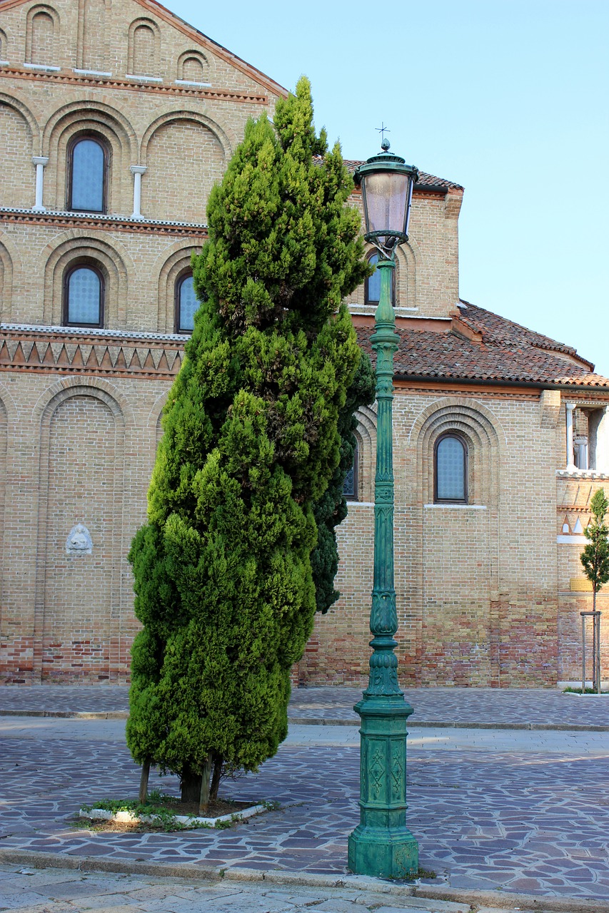 Image - lantern street lamp tree road