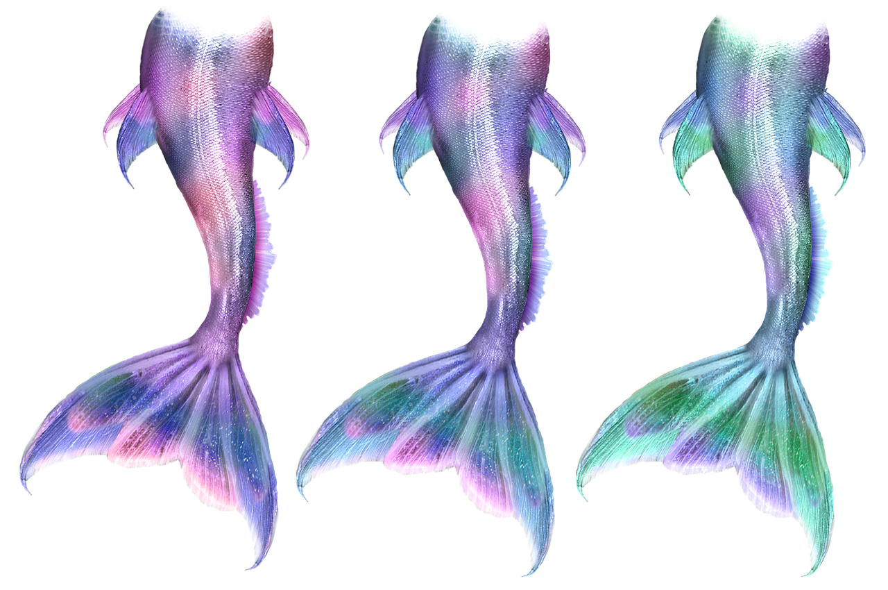 Image - mermaid merman merfolk mer myth