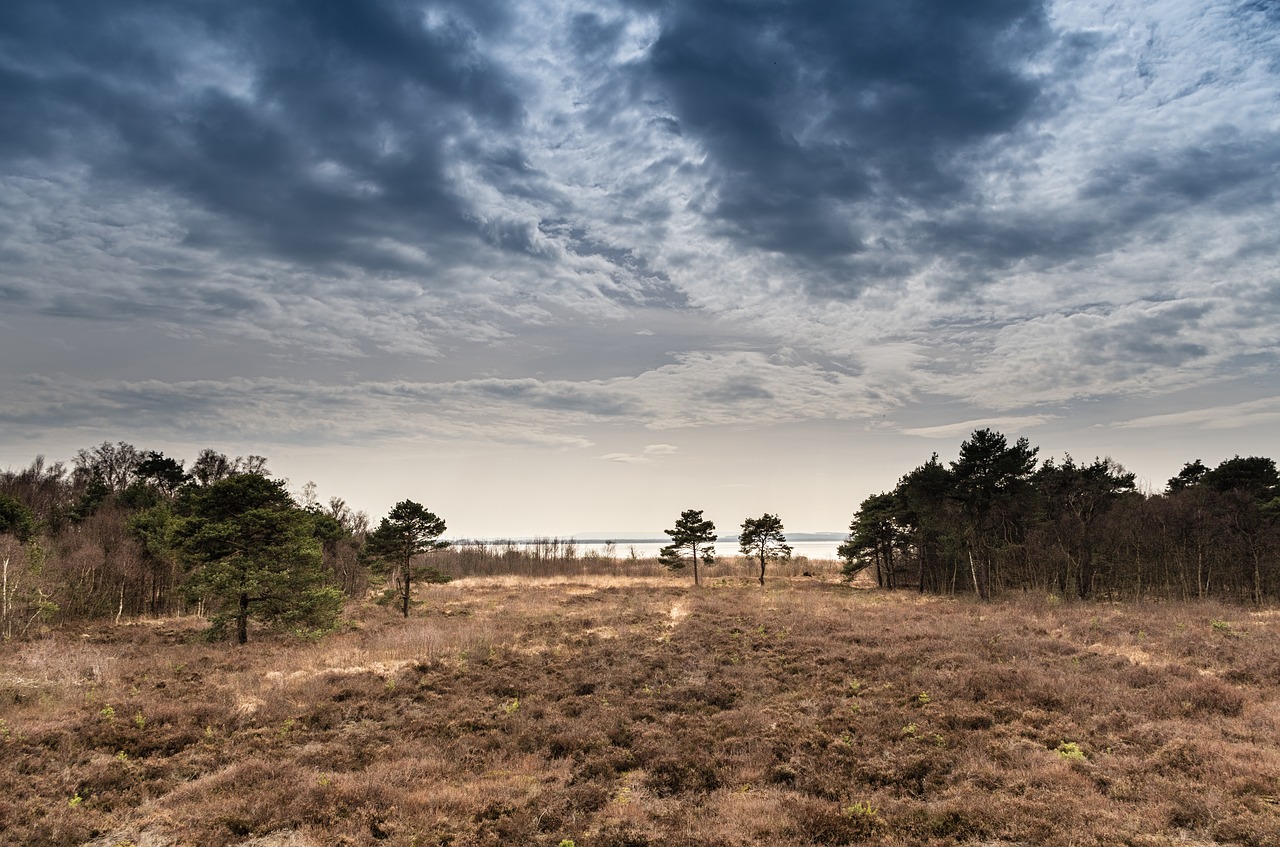 Image - landscape steinhuder sea moor sky