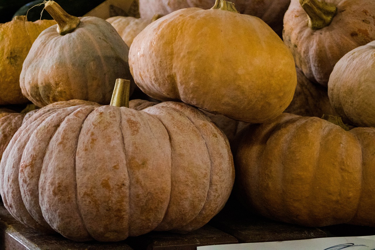 Image - pumpkin food vegetable horta