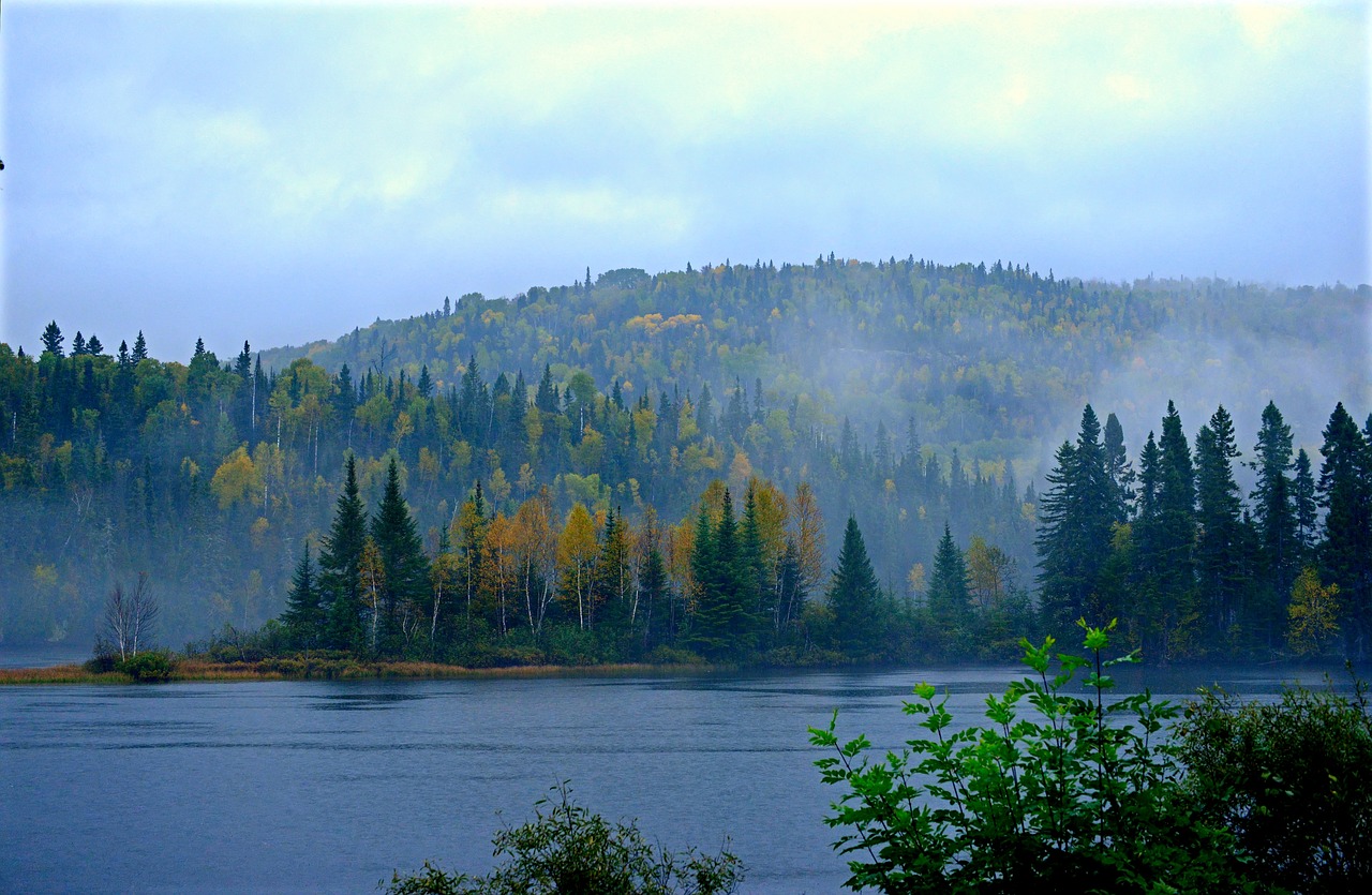 Image - autumn landscape mist fall nature