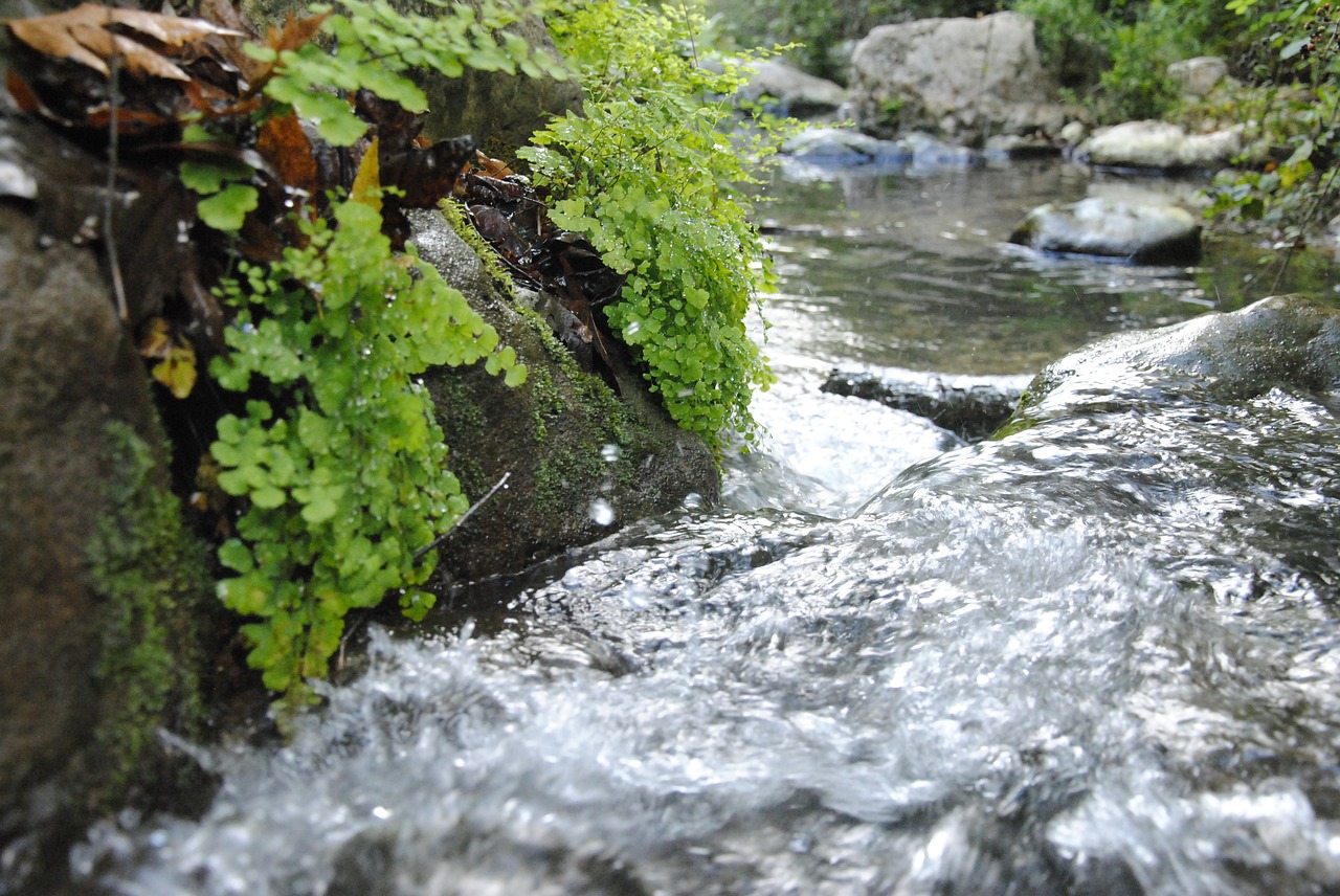 Image - galilee water mountain