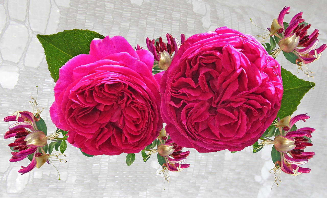 Image - red roses and honeysuckle