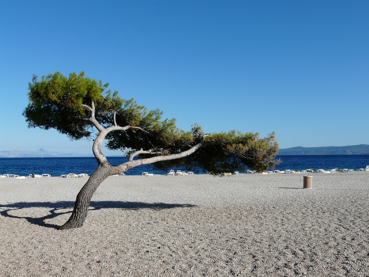 Image - beach sea coastline sunlight coast