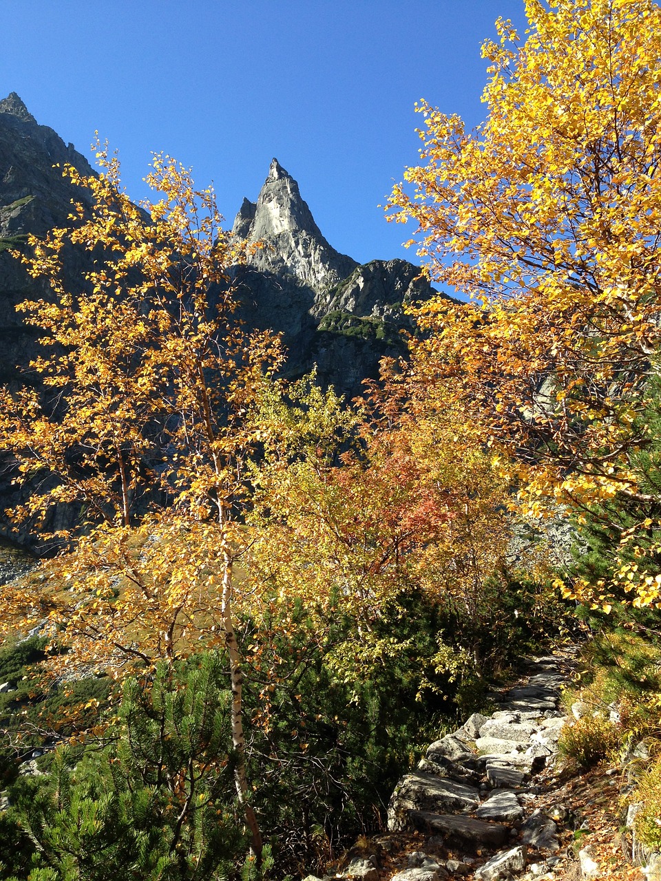 Image - tatry mountains autumn