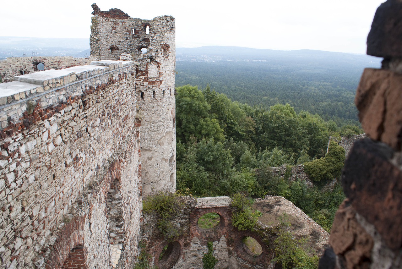 Image - the ruins of the castle view walls