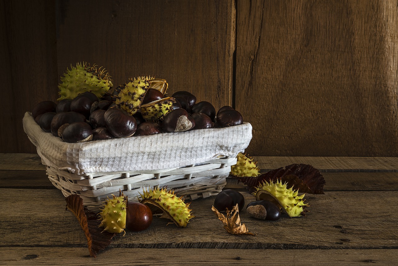 Image - chestnuts peaks autumn
