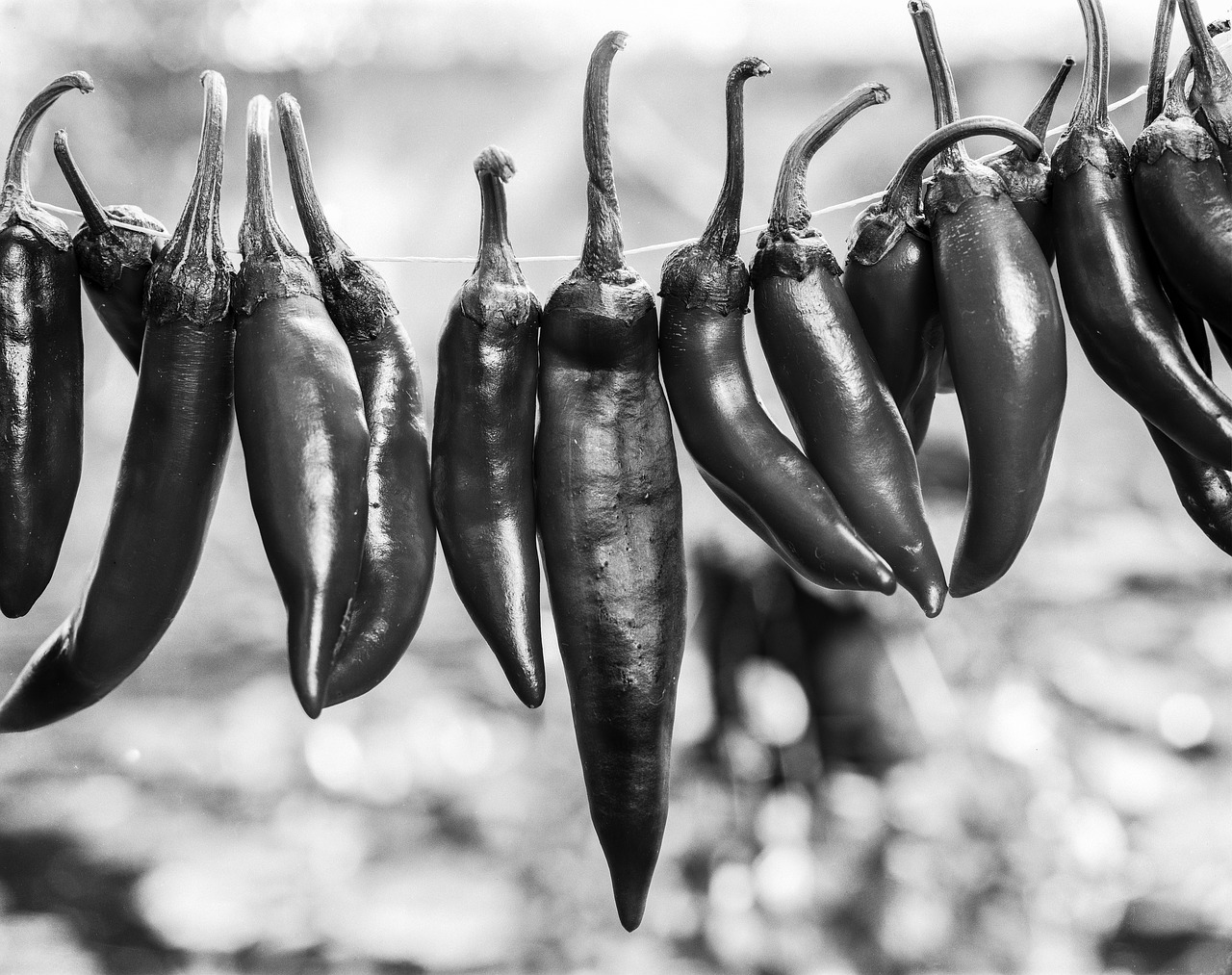 Image - paprika red pepper seasoning food