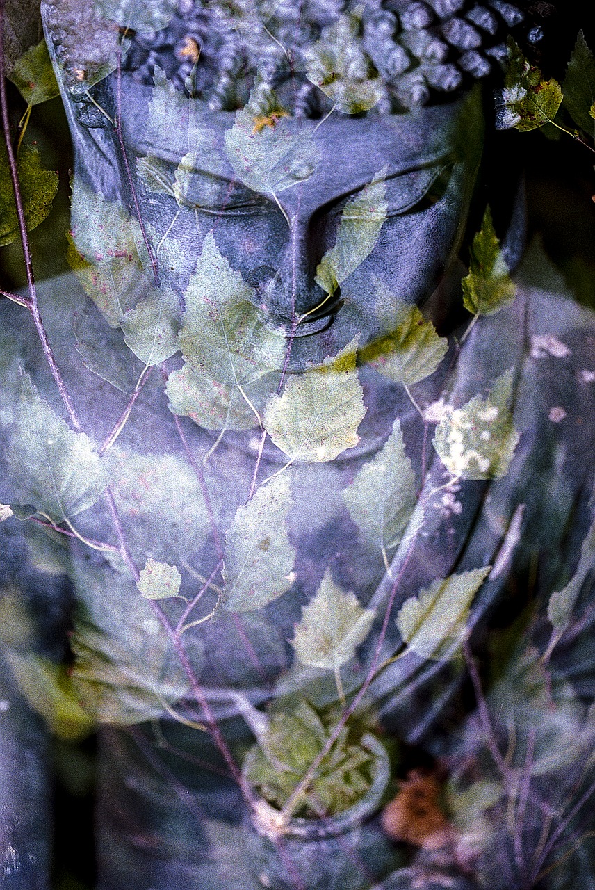 Image - buddha leaf religion statue