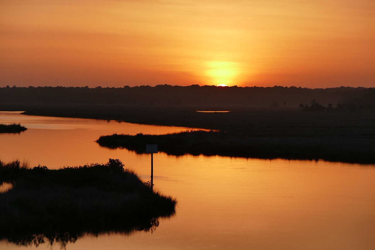 Image - florida sunrise water nature dawn