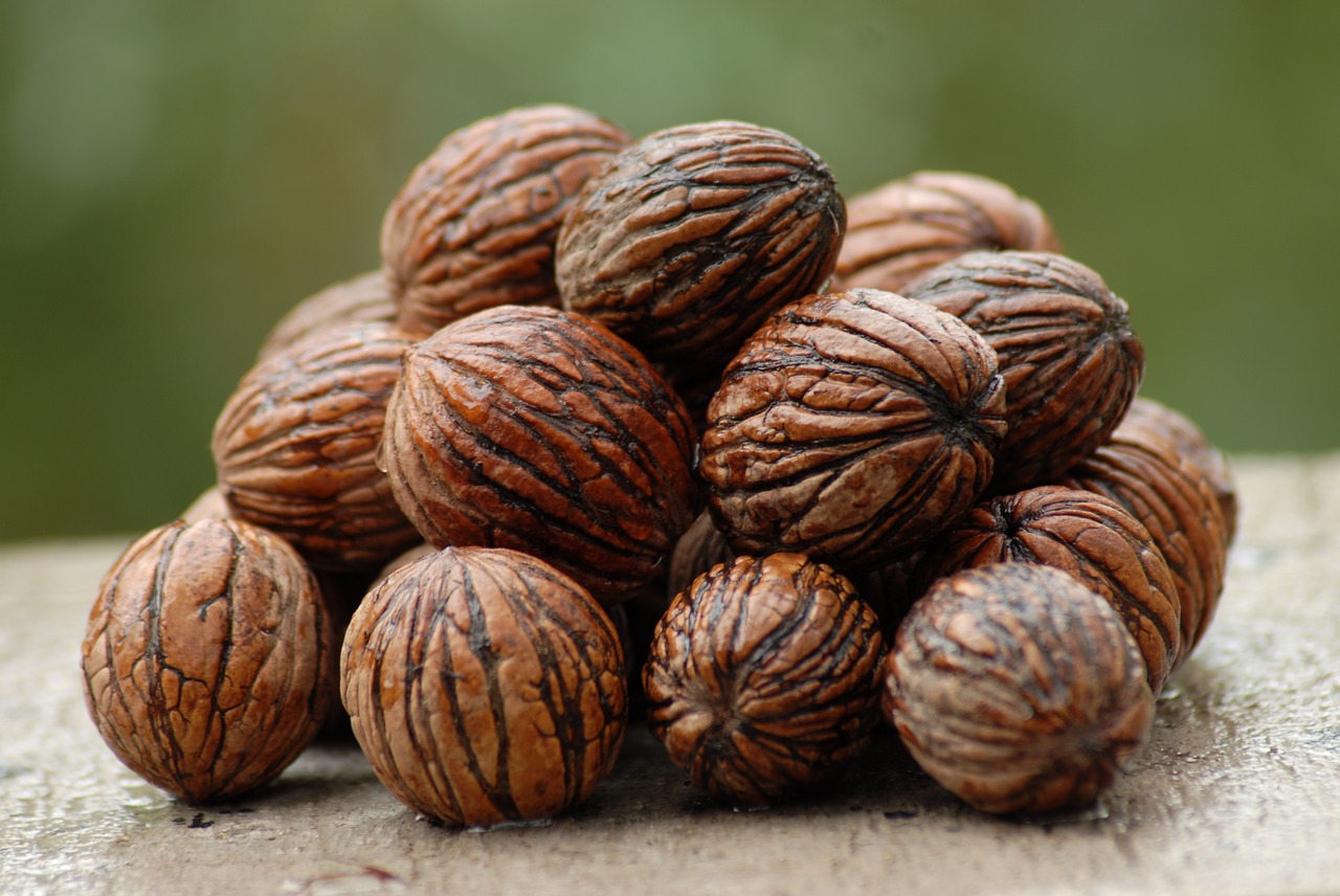 Image - guatololote fruit nature