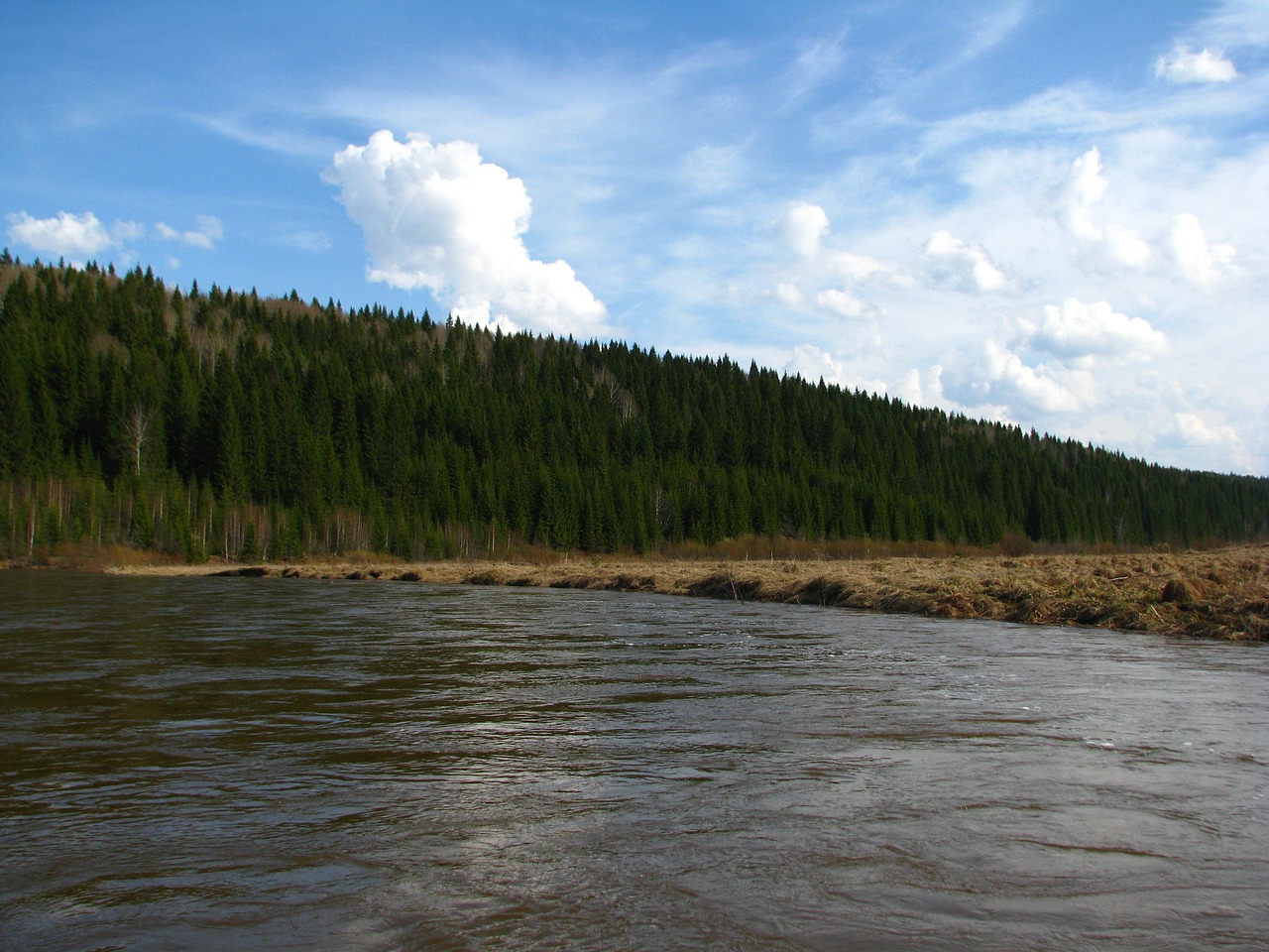 Image - alloy the river koiva tourism